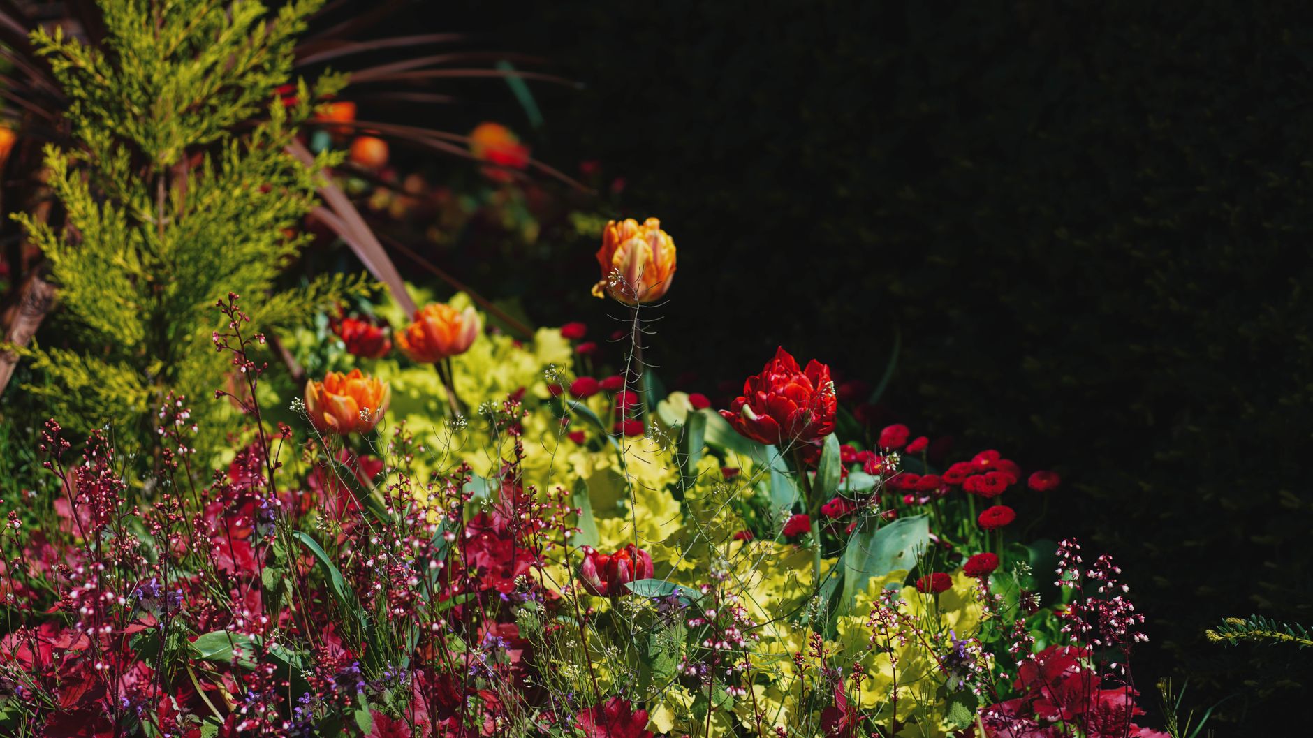 Landscaper services in Barnsley, Eden Landscapes