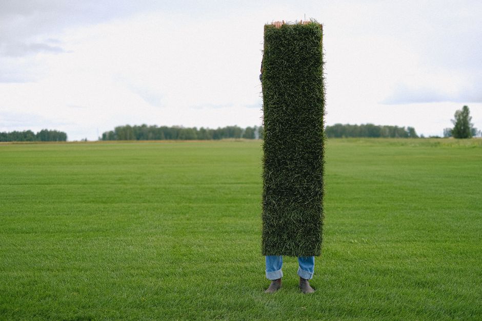 Turfing & Lawn Care in Barnsley
