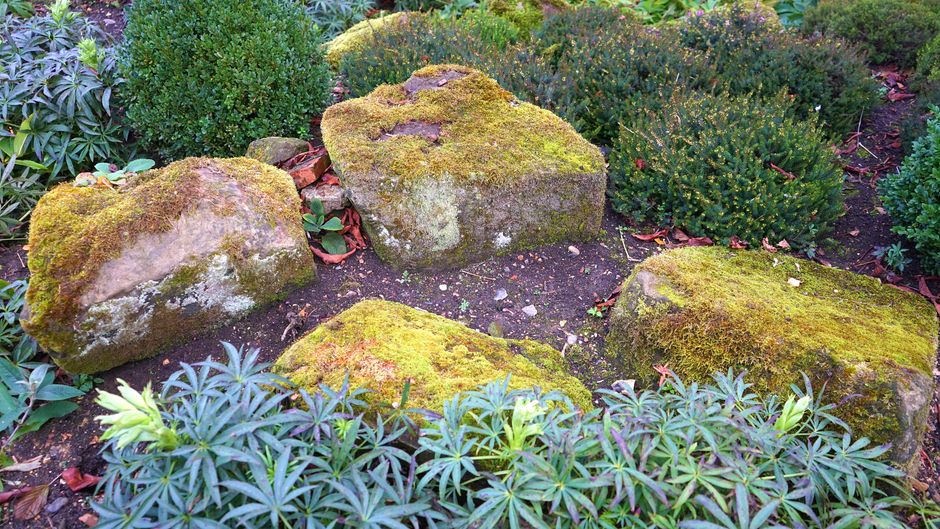 Garden Design & Landscaping in Doncaster
